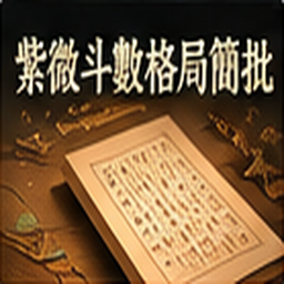 紫微斗數格局簡批