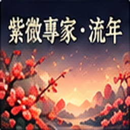 紫微專家・流年